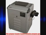 Zodiac Legacy LRZ250EP Digital Control 250K BTU Propane Gas Polymer Header Heater