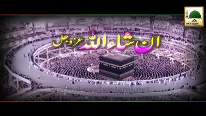 Promo - 41 Roza Course - 8 March