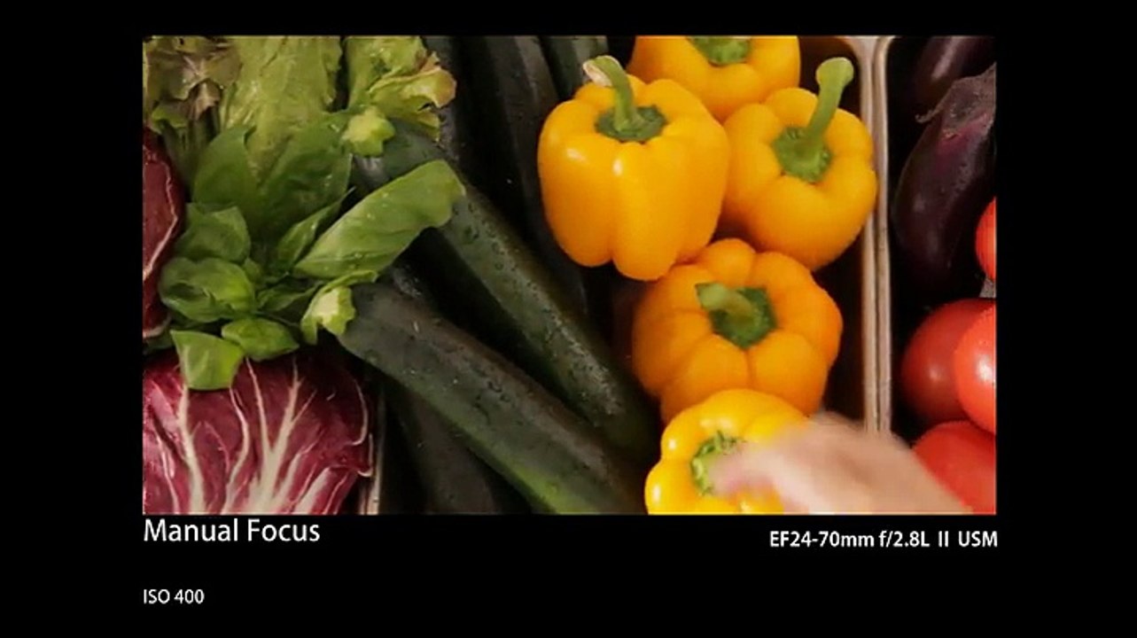 Canon 70 D Digital SLR Camera with 18-135mm STM Lens