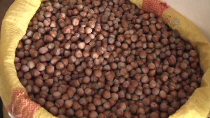 Fındık, Fiyat İstikrarını Koruyacak"