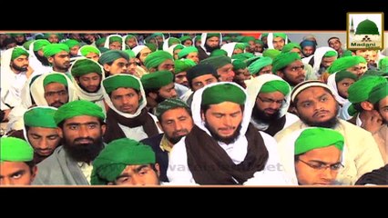Short Clip - Where is the Progress - Maulana Imran Attari