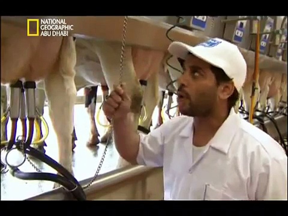 مصانع عملاقة _ المراعي