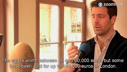 Extinct elephant bird egg expected to fetch 60,000 Euro