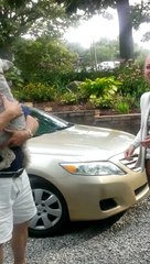 Dog passes out from overwhelming joy   #CaseyTheDog