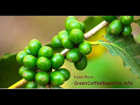 Find Out About Green Coffee Bean Extract Benefits and Its Side Effects