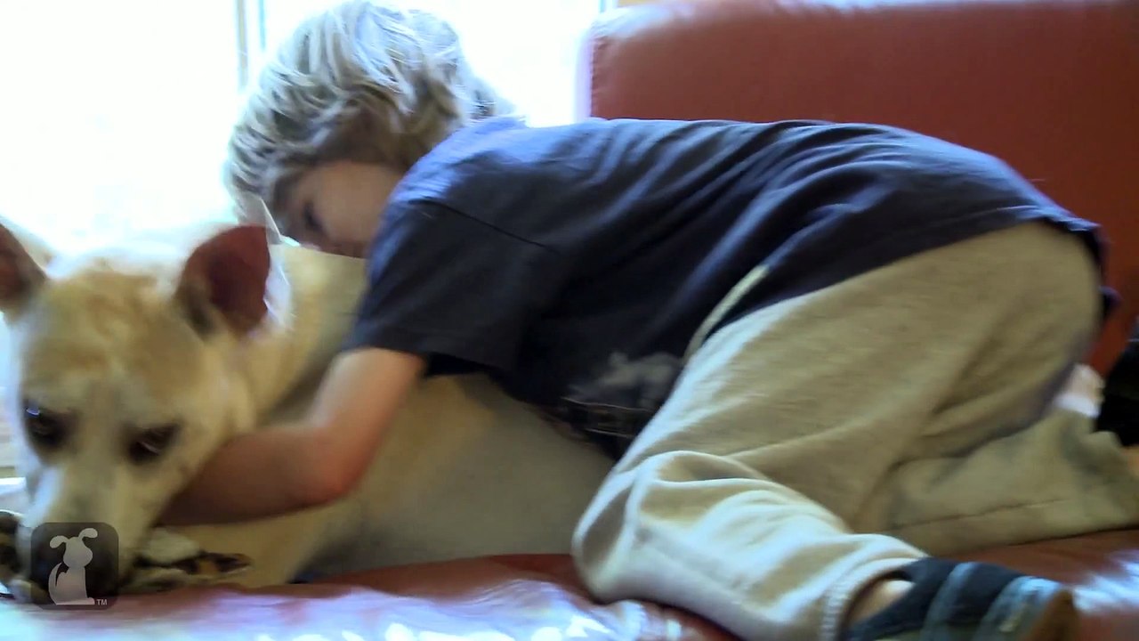 Healing Power of Pets - Seizure Detecting Dog assists boy