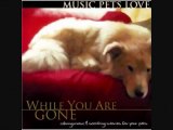Music Pets Love  While You Are Gone (Dogs Cats Birds)