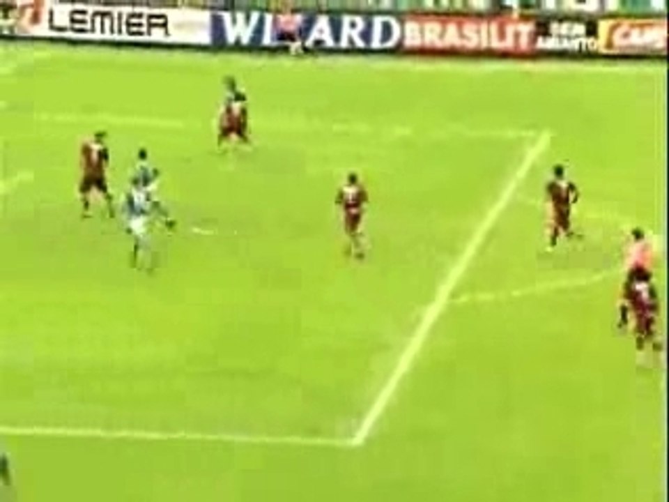 Magoloco_en_palmeiras