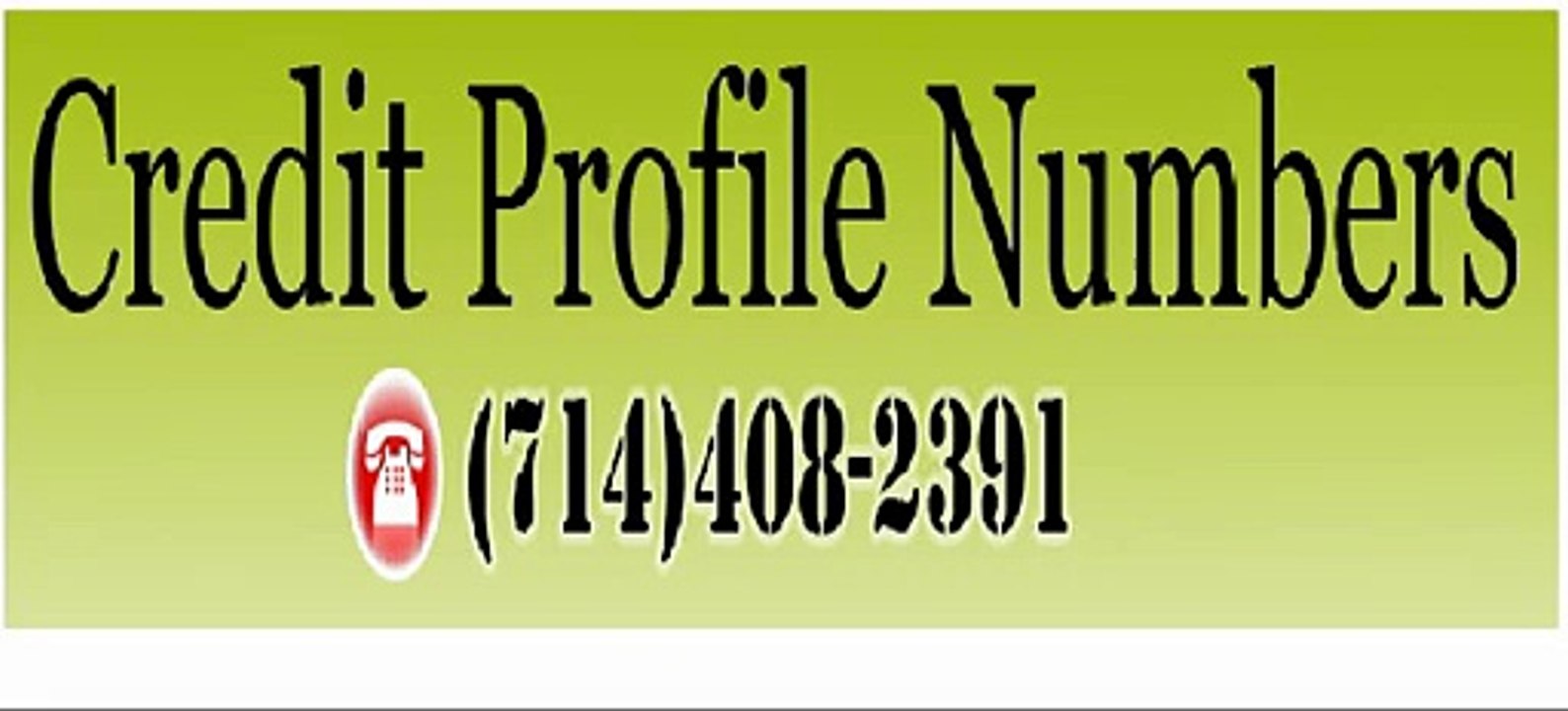 Credit Repair Service