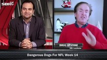 Week 14 NFL Picks for Top Dogs and  False Favorites