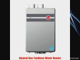 Rheem RTGH 84DVN Condensing Direct Vent Indoor Natural Gas Heater