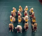 Pets Teach Science  16 golden retrievers explain atoms