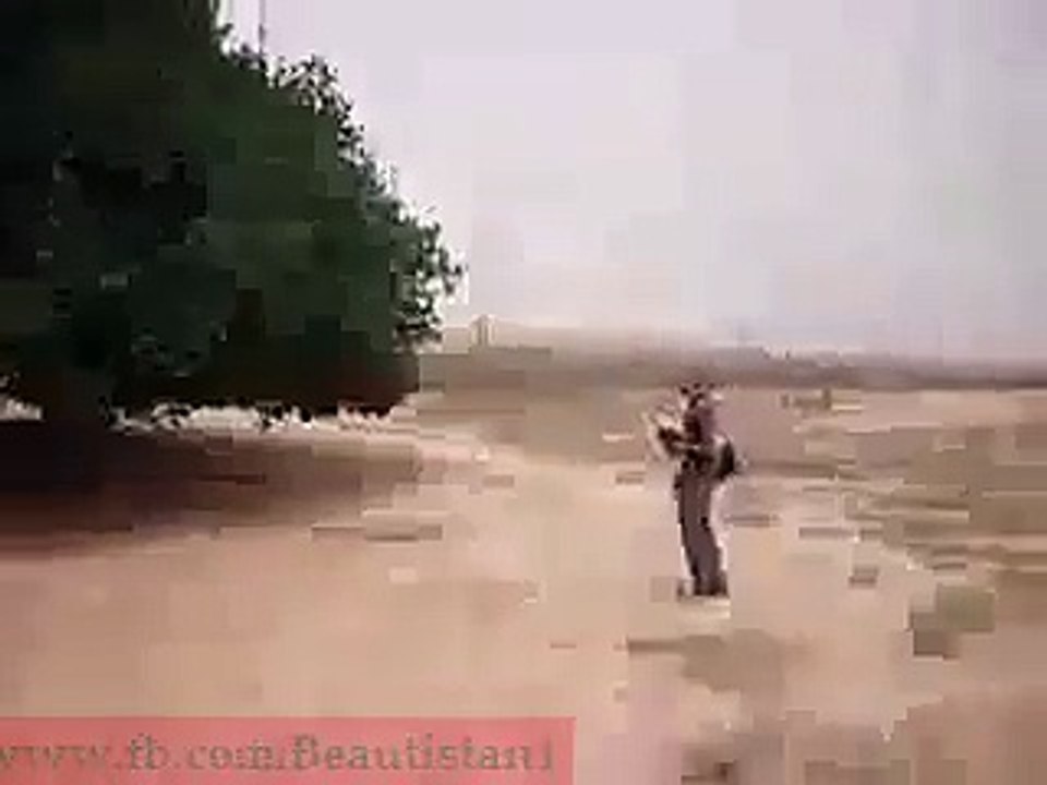 1400 Saal Purana Darakht Jis Ne | Hazoor pak ﷺ Ko Saaya Farham Kiya Tha