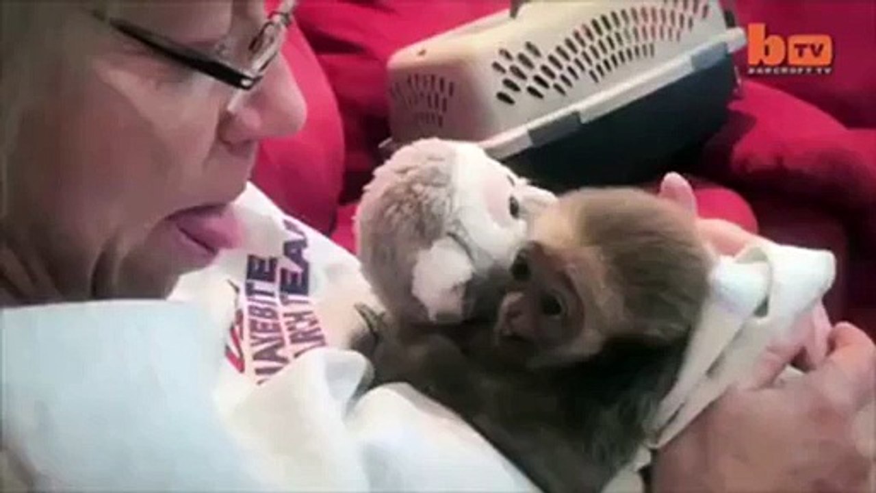 Monkey see monkey do