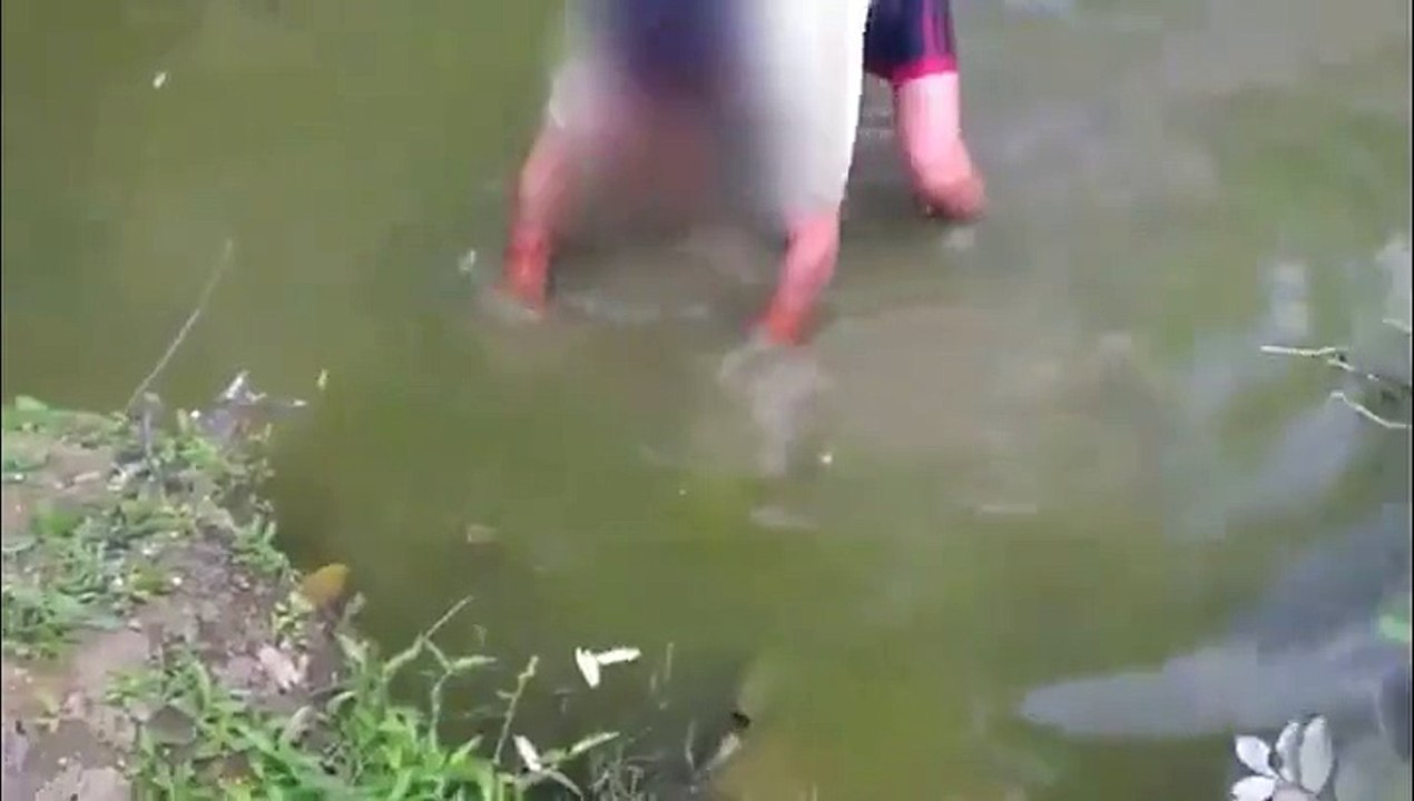 Pécher avec les mains, puis avec une canne à pêche électrique