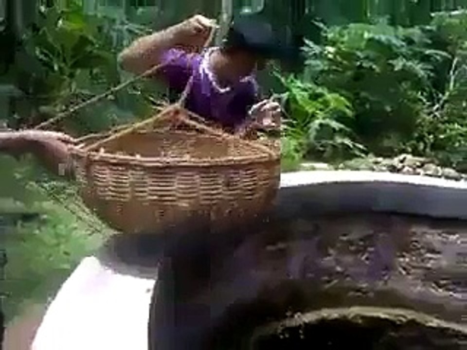 SNIF ! Un chat est tombé dans un puit ! (Fin heureuse)