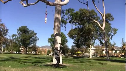 Les 20 travaux de Jumpy ... Le chien qui n'est pas né avec le bon corps