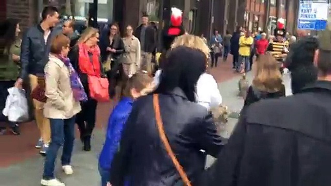 EPIC ! La fanfare des canards est de passage en pleine ville !