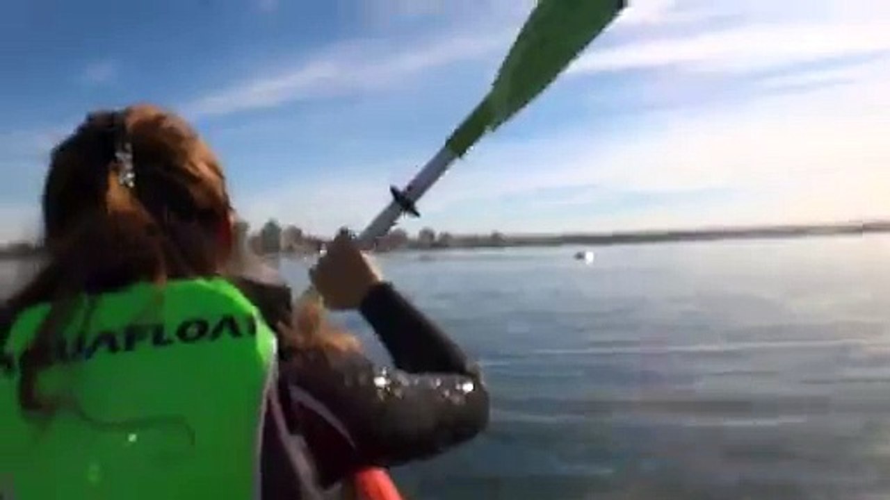 GENIAL ! Kayak pris en stop par une baleine ! Quelle belle expérience !