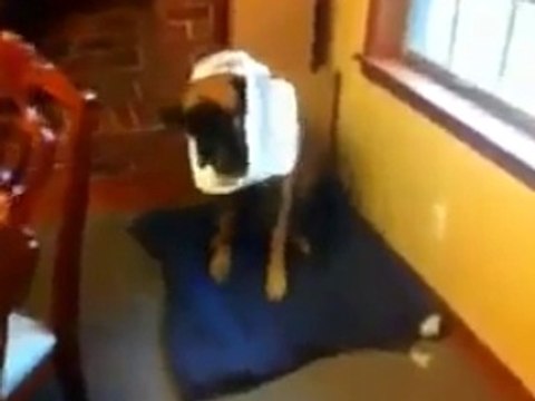 Un mec rentre chez lui, ce qu'il va découvrir est choquant !