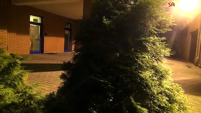 Caméra cachée BUZZ ! Un chien déguisé en araignée géante !