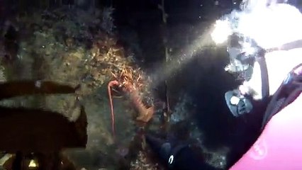 Dur dur la chasse aux homards en pleine mer !