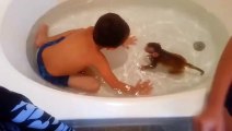 Prendre un bain avec son singe ... tout à fait normal ! LOL