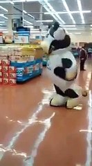 Cette vache est complètement folle !