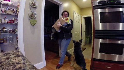 Il fait une blague totalement délirante à sa mère ... plusieurs fois ! Je Kiff !