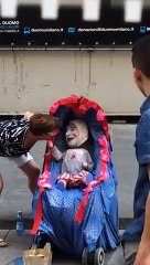 Le spectacle impressionnant d'un homme bébé dans une poussette ! Gros délire !