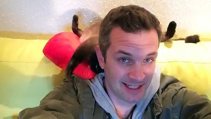 Ce chat aime son maitre et lui montre ! Adorable !