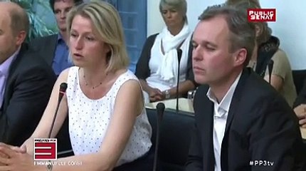 Ca Bouge chez les écolo le reportage Public Senat dans Preuves par 3