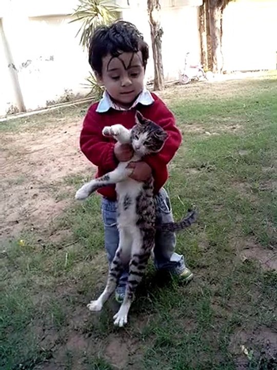 sher-e-ali  - sher aur sher ki khala