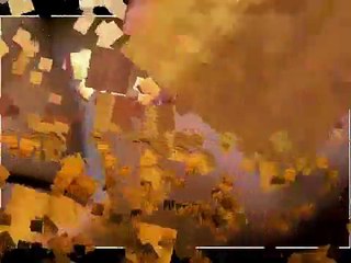 io per lei - Camaleonti