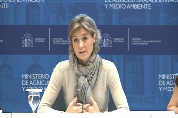 Tejerina presenta el plan PIMA Adapta