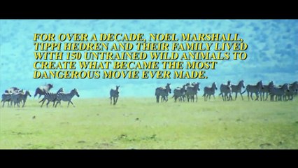 ROAR Trailer - The Most Dangerous Film Ever Made - YouTube