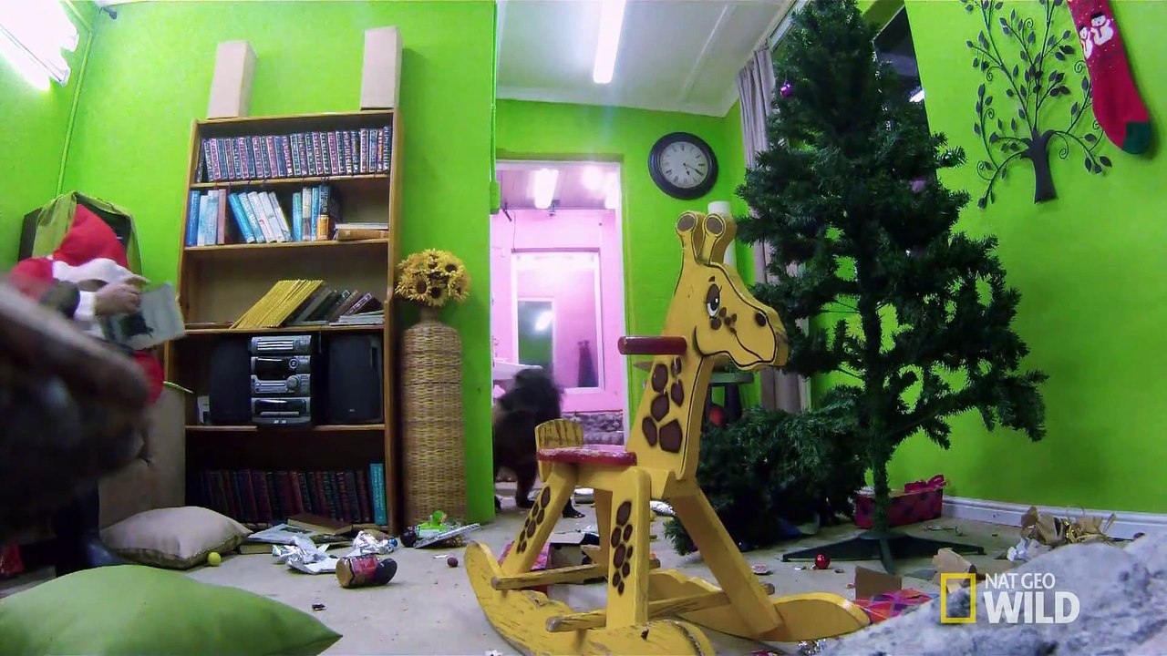 A Visit From Santa