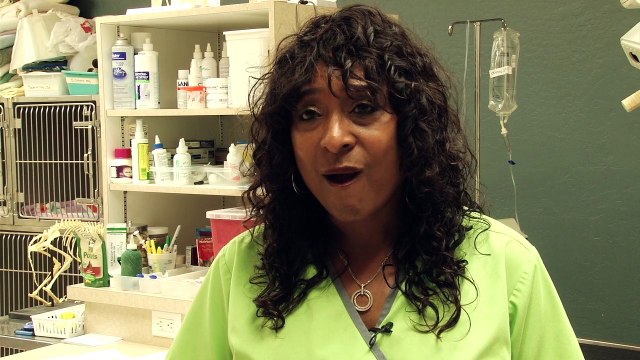 Welcome to Friendship Pet Hospital