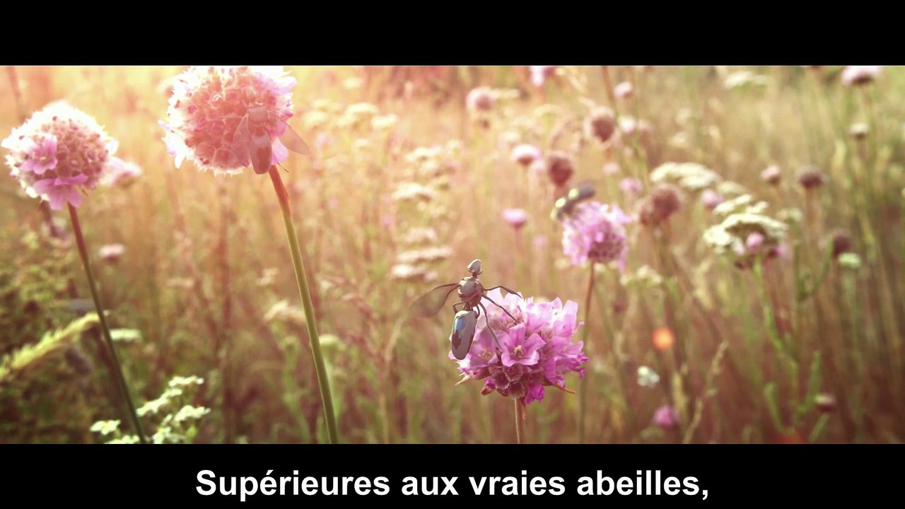 Le film qui fait peur - Abeilles nouvelle génération