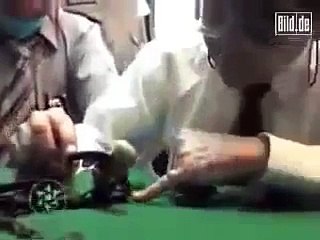 Is this an Alien or an Unidentified Living Object - Amazing Video