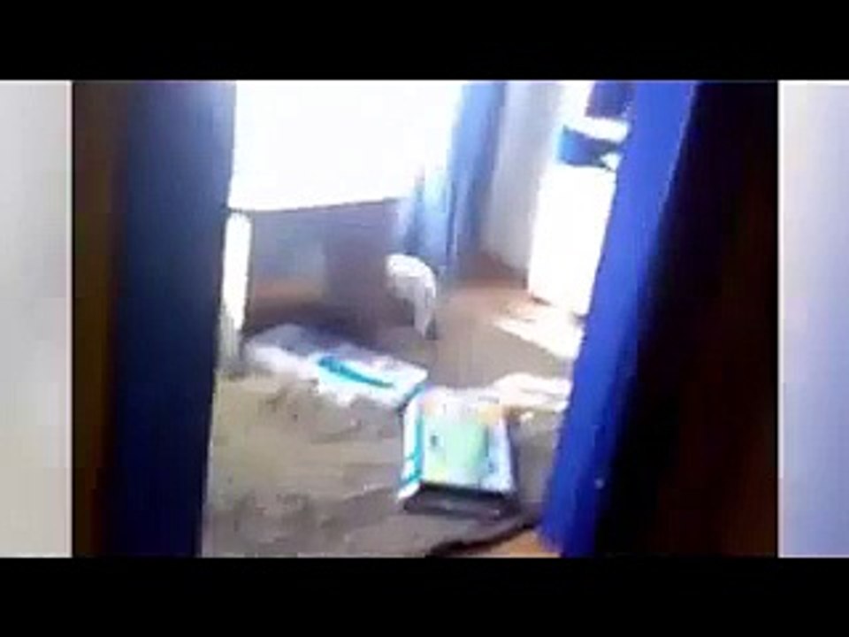 Приколы 2014