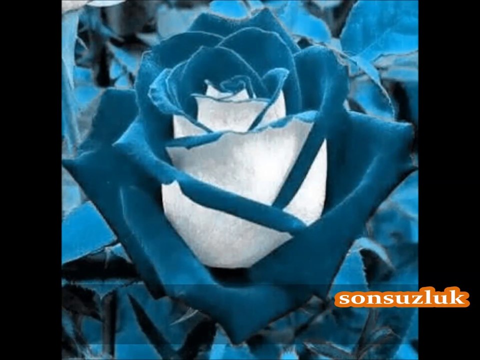 huzurun türküsü sonsuzluk