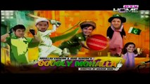 Googly Mohalla Episode 15 Full on PTV Home