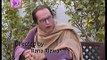 Bulbulay Episode 338 Full on Ary Digital - March 8