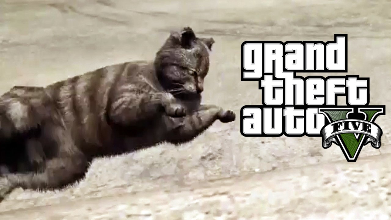 GTA V - Il fait peur à un chat et...