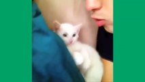 Today's Top 8 Super-Funny and Cute Cat and Kitten Vine Videos 009