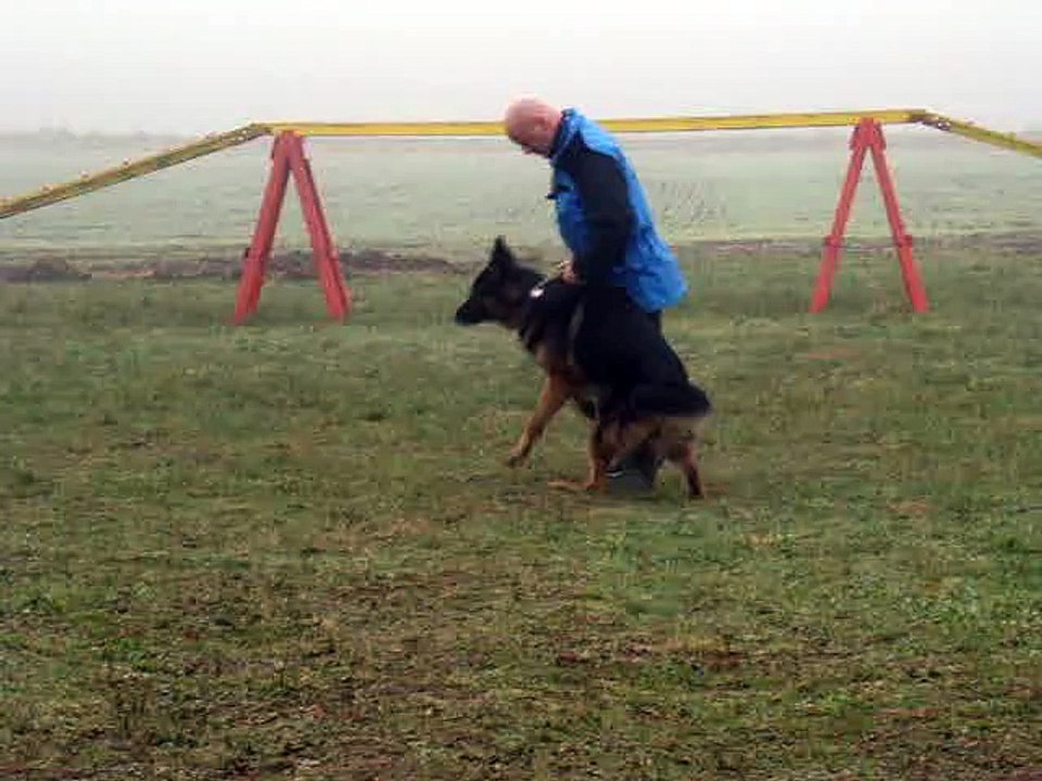entrain ring défense maître ANOUK du chemin d'eden