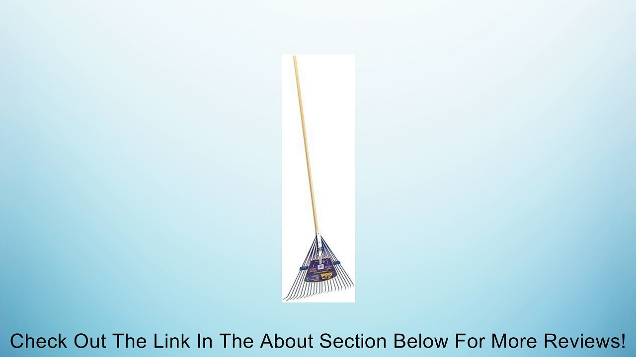 Ames True Temper Jackson Kodiak Spring Brace Rake 22-Inches Wide 1935900 Review