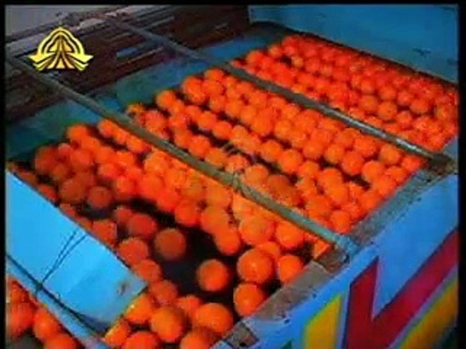 Bhalwaal City of Pakistan Documentary in Urdu