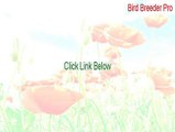 Bird Breeder Pro Key Gen - Instant Download